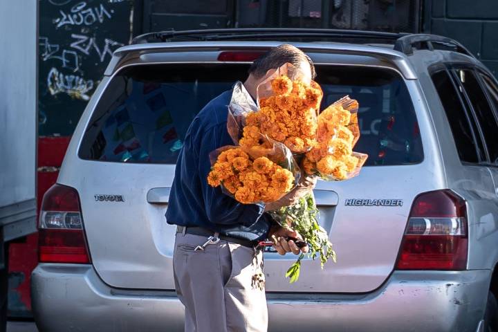 Floristas de la Zona Centro revelan baja ventas en Día de Muertos: “Ya está muy saturado”
