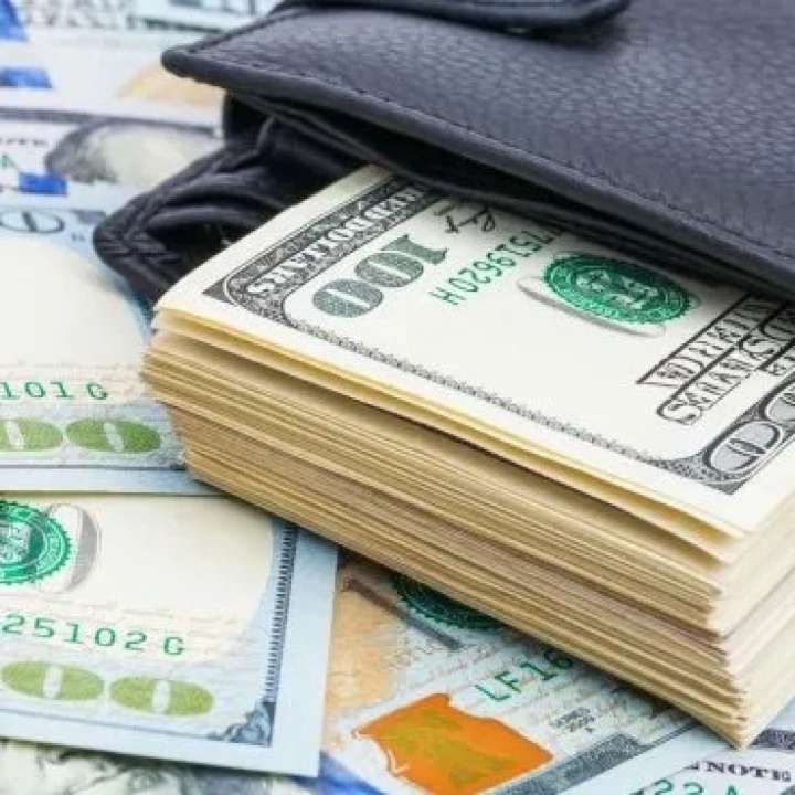 La compra de dólar ahorro rozó los u$s6.900 millones en septiembre y alcanzó un nuevo récord histórico