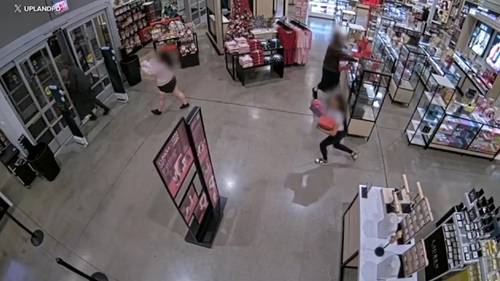 Video shows suspects trying to steal boxes of fragrance products from store in Upland