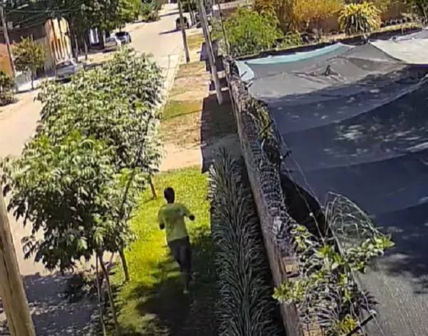 Le robaron 20 veces en su vivero y estalló: “Entran como por su casa”