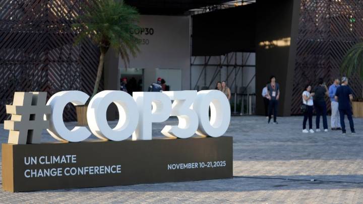 Cop30 Participants Include 300 Agriculture Lobbyists Responsible for Most Global Emissions: Report