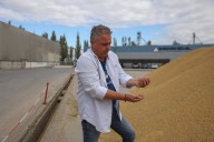 The new revenue stream for Greece’s struggling rice farmers? Wedding confetti