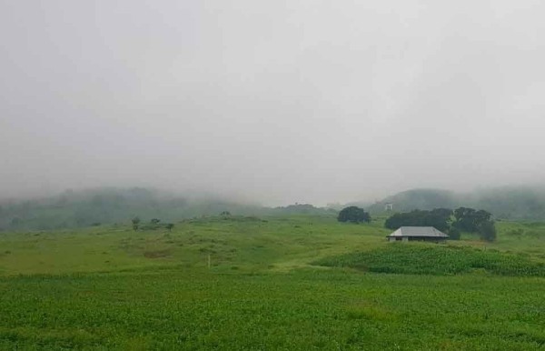Ingresa Frente Frío 17 con heladas, nublados y descenso de temperatura