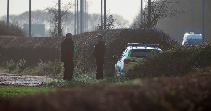 Body found in search for 82-year-old man after suspected murder