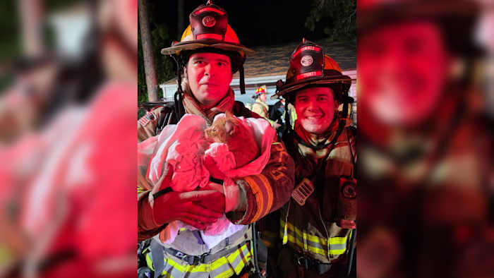 Cat dies, another rescued in Seminole County house fire