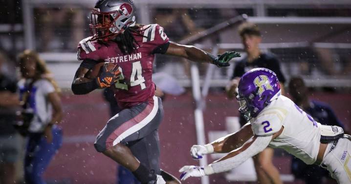 Destrehan RB Malachi Dabney serves community with food drive