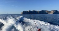 La pesca deportiva en aguas de Baleares, centinela para medir la salud del atún blanco