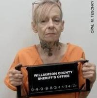 Woman arrested for drugs, gun, theft