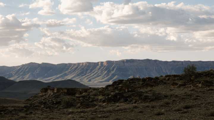 Growing grapes in the desert: This award-winning wine is made in one of the world’s harshest climates
