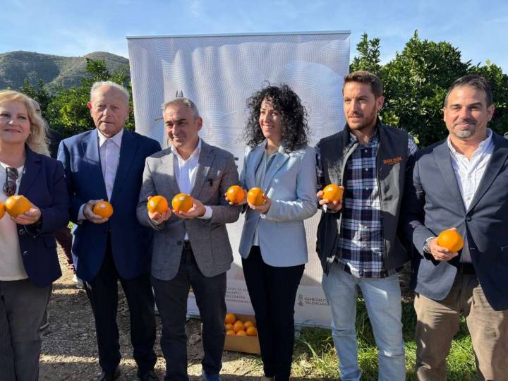 Barrachina destaca el Plan de Reconversión del campo valenciano por su beneficio más de 36.000 agricultores