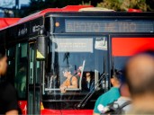 Activan buses de apoyo ante problemas en la Línea 4 del Metro de Santiago: así funciona el servicio hoy