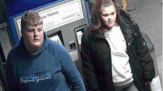 Police search for missing Cinderford teen