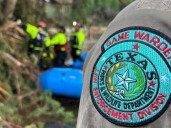 Son invasivos y destructivos: cuáles son los animales que se volvieron un dolor de cabeza para los Parques Nacionales de Texas