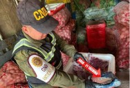 GNB incauta 25 envoltorios de presunta cocaína en Táchira