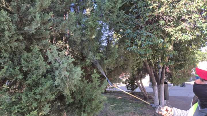 Municipio fumiga espacios públicos