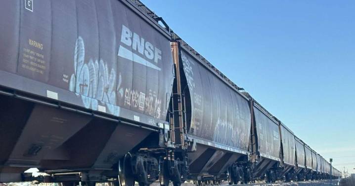 Man fatally struck by train in Las Cruces