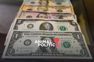 Hacienda y EU bloquean a 9 empresas y 10 personas por presunto tráfico de drogas