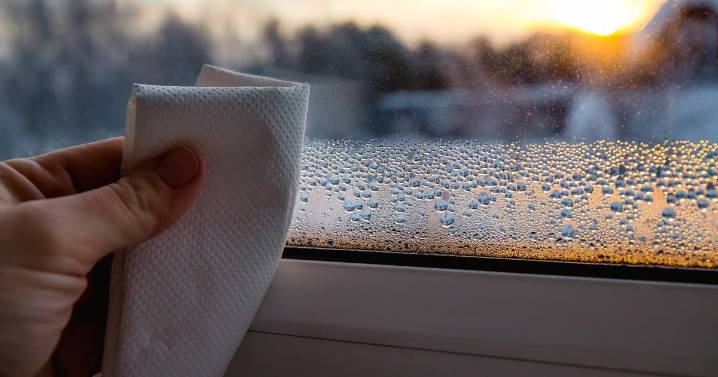 Condensation disappears with £2.18 item that 'absorbs quite a bit of moisture'