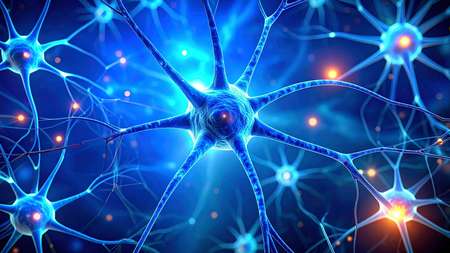 Dark chocolate, berries may help boost memory and relieve stress: Study