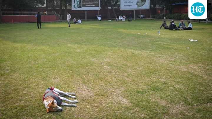 Bihar loss deepens Opposition slump in Hindi-speaking belt since 2014 polls