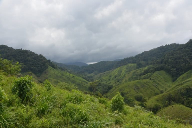 Big finance still funds deforestation, 10 years after Paris pact