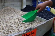 Anticipan riesgos para maíz y frijol por precios de garantía