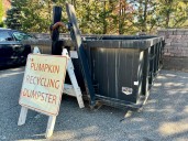 West Hartford Recycling Pumpkins Again