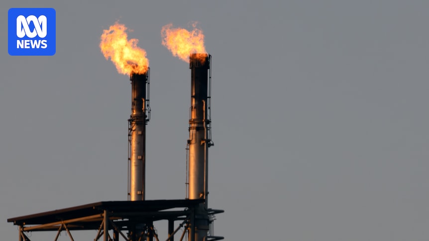 Claims secret gas decarbonisation report 'doctored' by WA government to support net zero narrative