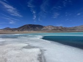 Red de Salares en Atacama: 6 áreas protegidas cuidarán 10 salares y lagunas altoandinas, ¿cuáles son?