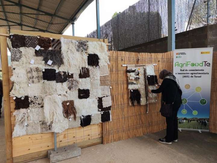 El CITA Teruel está llevando a cabo la organización de la II Feria de la Lana 2025, la cual contará con una jornada técnica enfocada en la innovación y los nuevos usos