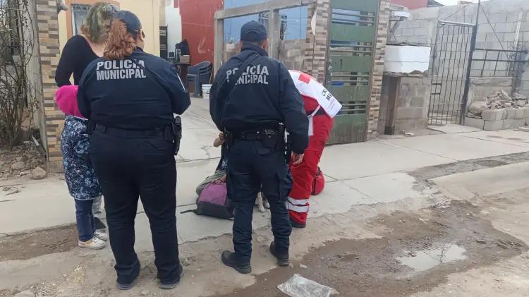 Mujer es atacada por una jauría en la colonia San Carlos