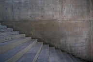 Bosques de concreto: Cemex y Tec de Monterrey descubren que las ciudades pueden respirar