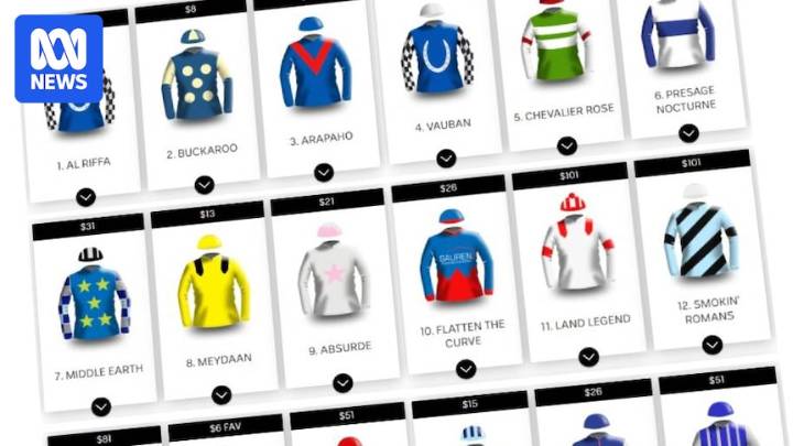 Melbourne Cup 2025 field, horses, form guide and betting