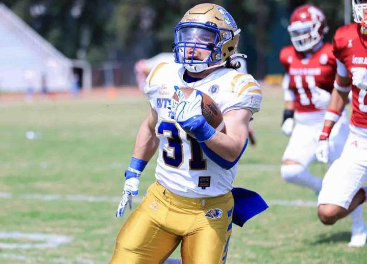 Borregos y Auténticos, por el 1