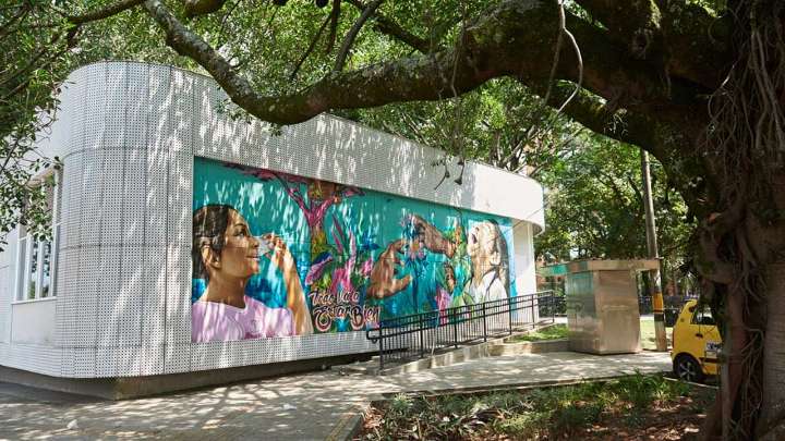 El barrio de Medellín que tiene nombre de árbol y atrae a los turistas por su exquisita y diversa oferta gastronómica