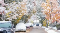 Will Alabama see snow in 2025? Almanac reveals winter forecast