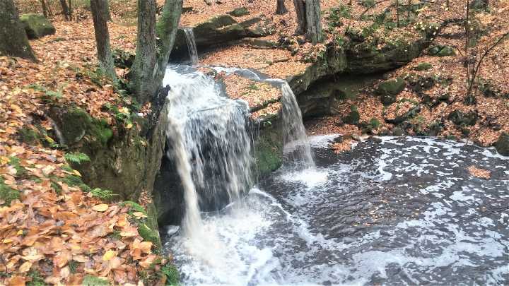 Art meets nature at The West Woods: Valley Views