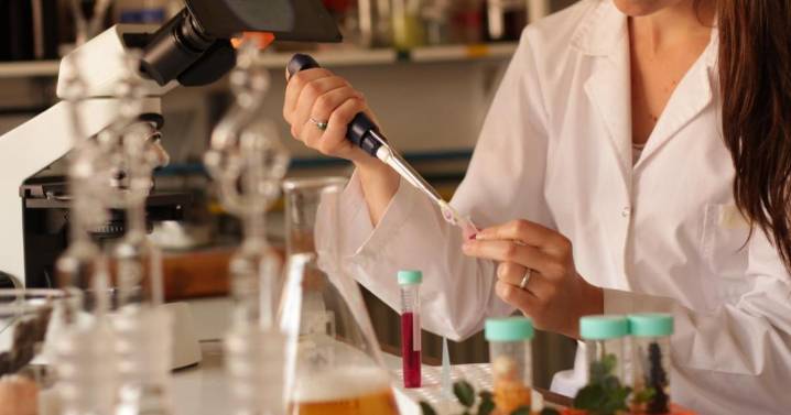 Cae el consumo de cerveza en el mundo: investigadores de Bariloche capacitan en la elaboración de cerveza sin alcohol