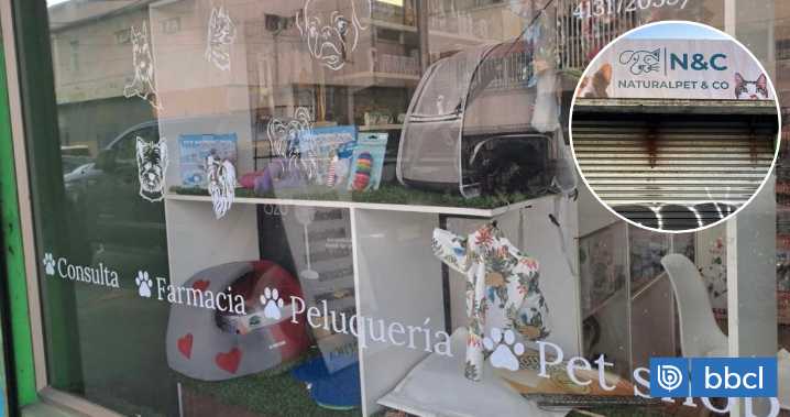 Vendedor que abastecía a clínica veterinaria asaltó con cuchillo a dueña en Concepción