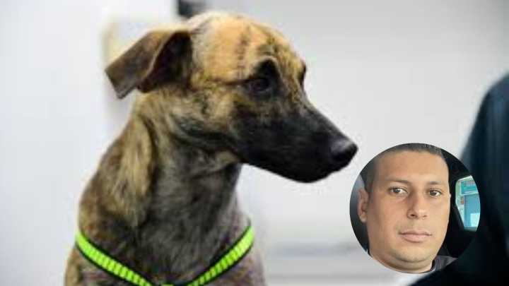 Identifican y judicializan al hombre que golpeó a su perro en Bolívar tras rechazo nacional