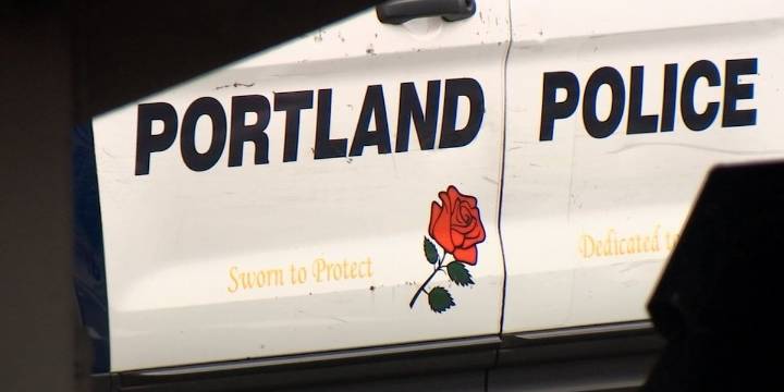 Portland Police arrest 2 teens accused of pistol-whipping, punching man in the Pearl District