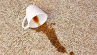 Your carpet isn't ruined after a coffee spill — here are 5 ways to save it