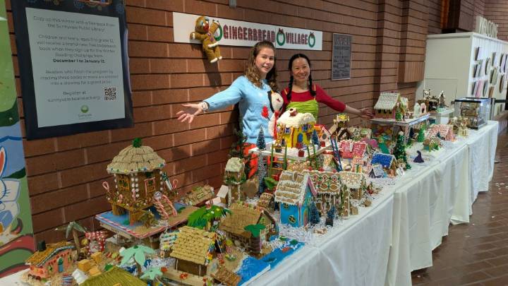 Sunnyvale kicks off holidays with Dec. 6 tree lighting