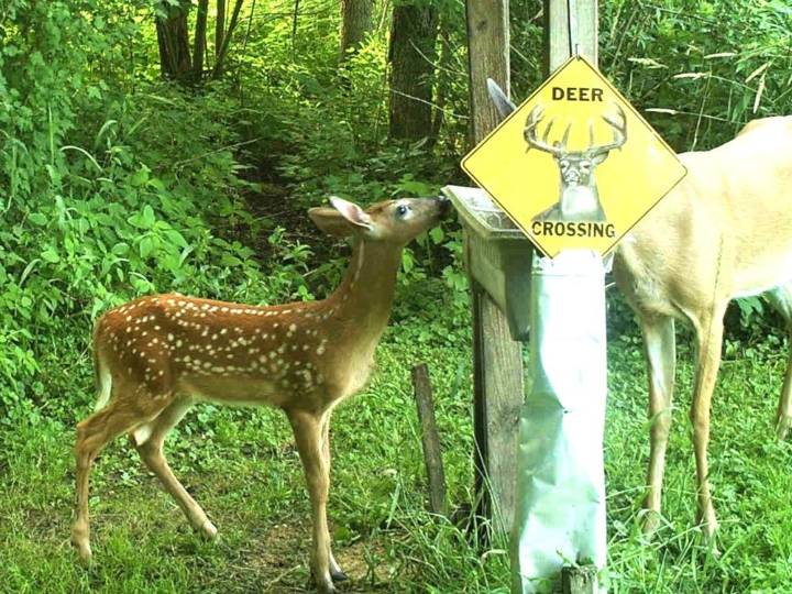 THE OUTDOORS GUY: Outdoor activity heats up as temperatures drop
