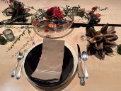 The Biology of Gratitude