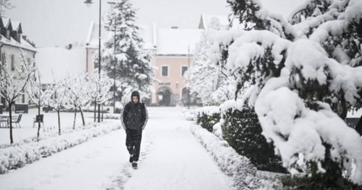 UK faces 'eight inches of snow' with 13 counties in England only ones spared