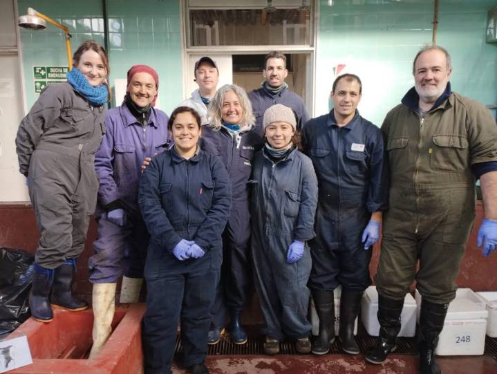 Primer puesto para proyecto marplatense sobre innovación científica veterinaria