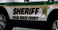 17-year-old dies in single-vehicle crash in Palm Beach County wildlife area