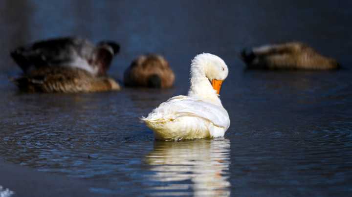 'Brief but bitter' cold snap coming later this weekend