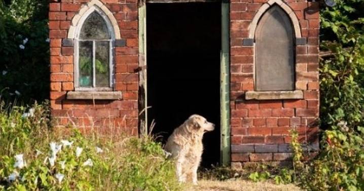 Listed Coventry allotment summerhouses added to Historic England preservation list